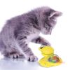 Cats Toy LED Spinner